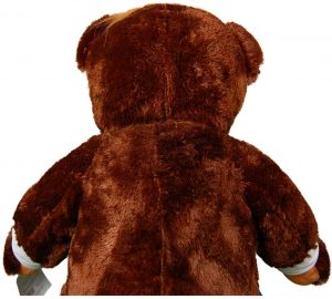 This is an image of the back of trumpy bear