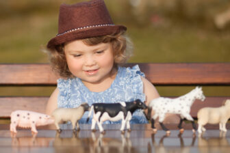 10 Fun Farm Toys for Toddlers & Kids